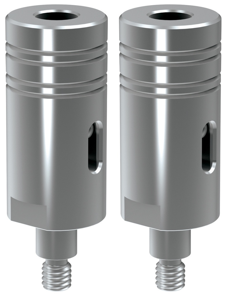 HR310 ARM EXTENSIONS FOR CENTRAL RIVETING (x2) (XT 31-40)