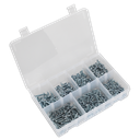 Zinc Plated Self-Drilling Screw Assortment Phillips Pan Head 500pc