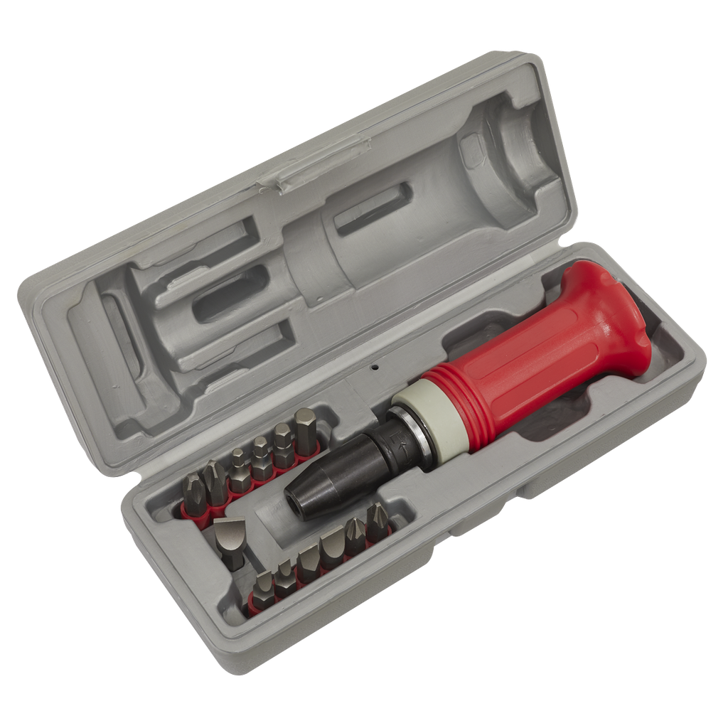 Premier Impact Driver Set with Protection Grip 15pc