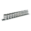Premier Socket Set 1/4"Sq Drive 12-point 13pc