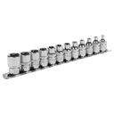 Premier TRX-Star* Socket Set 3/8"Sq Drive E4-E20 12pc