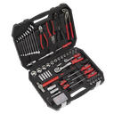 Mechanic's Tool Kit 100pc