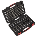 Premier Platinum Hex Socket Bit Set 3/8"Sq Drive 30pc