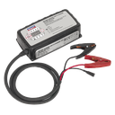 12V-25A/24V-12.5A Battery Support Unit & Charger
