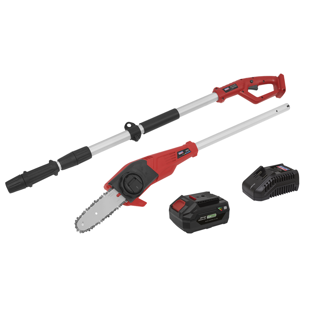 SV20 Series 20cm Cordless Telescopic Chainsaw Kit 20V 4Ah