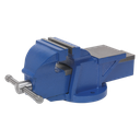 Professional Heavy-Duty Fixed Base Vice 125mm
