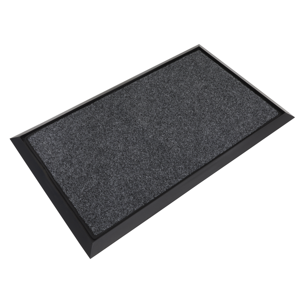 Rubber Disinfection Mat with Removable Polyester Carpet 450 x 750mm