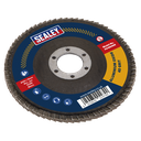 100mm Aluminium Oxide Flap Disc 40Grit 16mm Bore