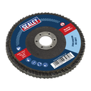100mm Zirconium Flap Disc 80Grit 16mm Bore