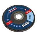125mm Zirconium Flap Disc 40Grit 22mm Bore