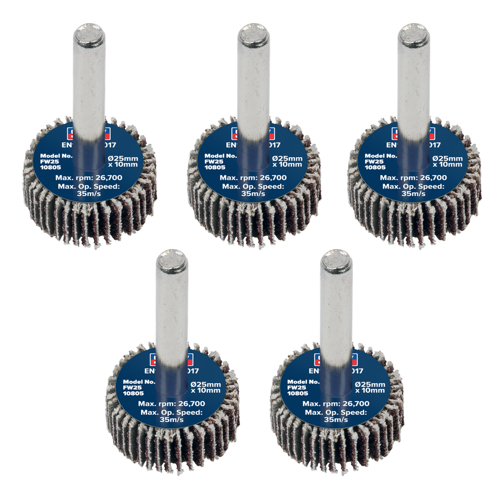 25 x 10mm Abrasive Flap Wheel on 6mm Shaft 80Grit - Pack of 5