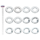 Clip Strip Deal - Mixed Washers
