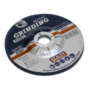100 x 6mm Grinding Disc 16mm Bore