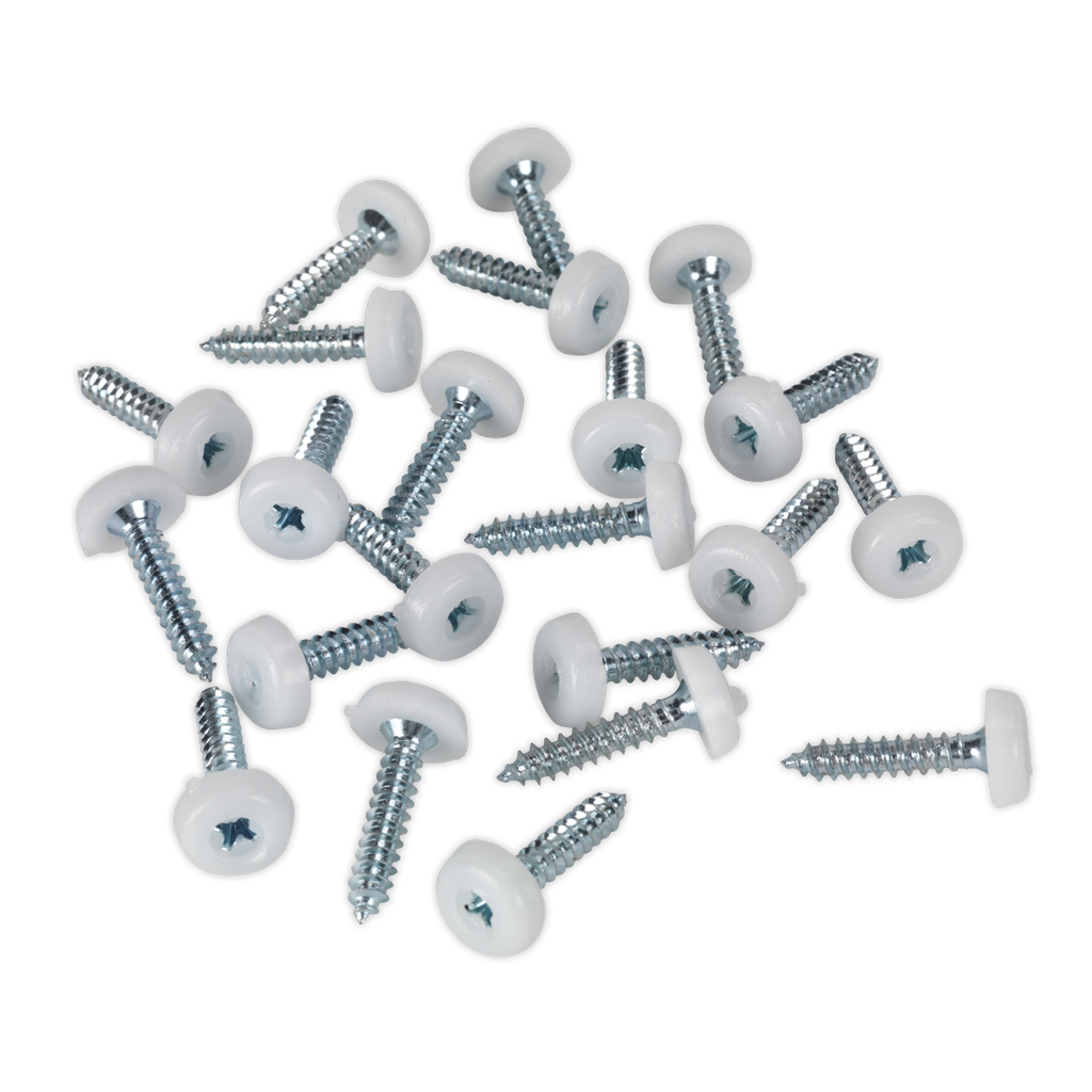 Numberplate Screw with Plastic Enclosed Head 4.8 x 24mm, White - Pack of 50