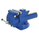 Quick Action Cast Iron Vice with Swivel Base 200mm