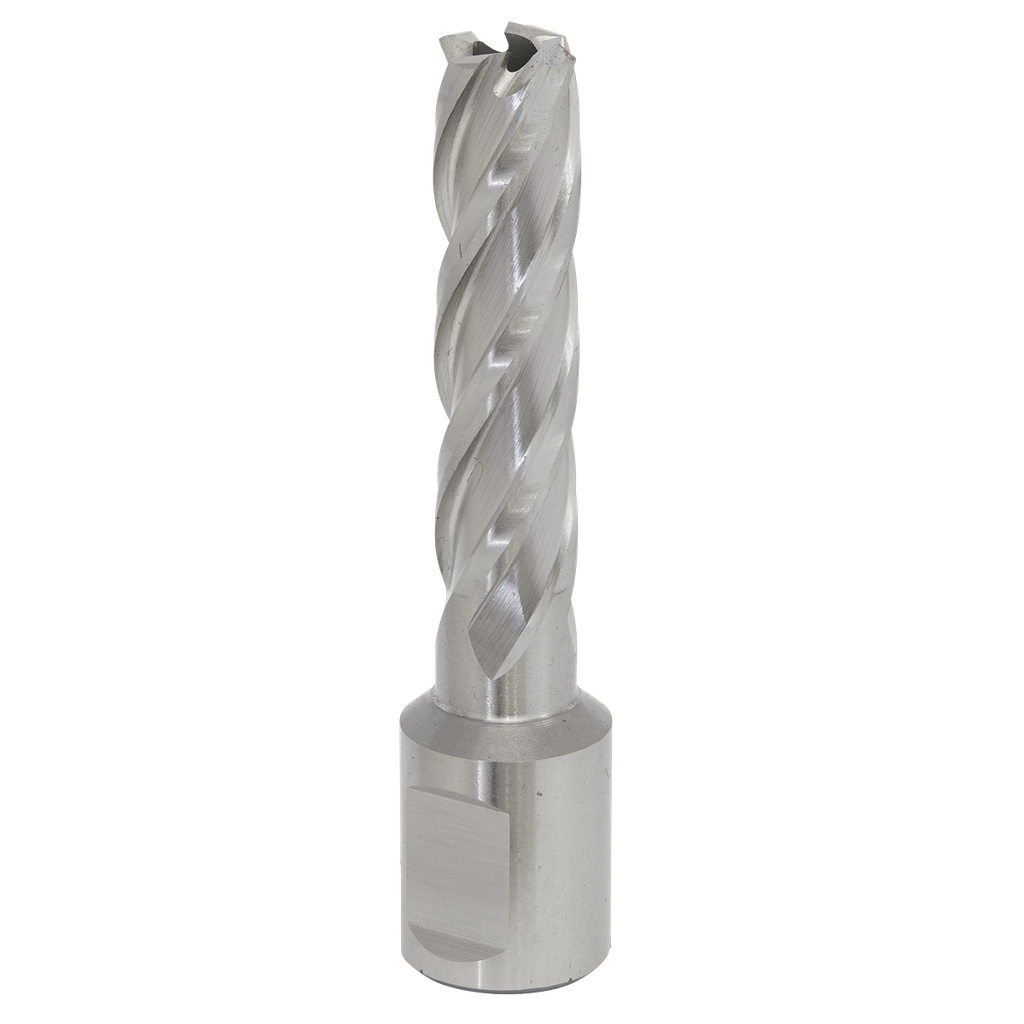 Worksafe® 13mm HSS Mag Drill Bit Cut Depth 50mm