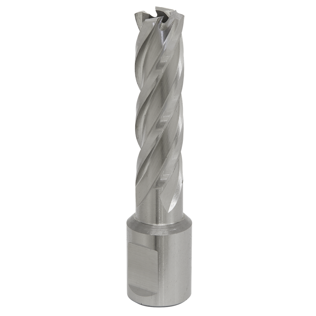 Worksafe® 14mm HSS Mag Drill Bit Cut Depth 50mm