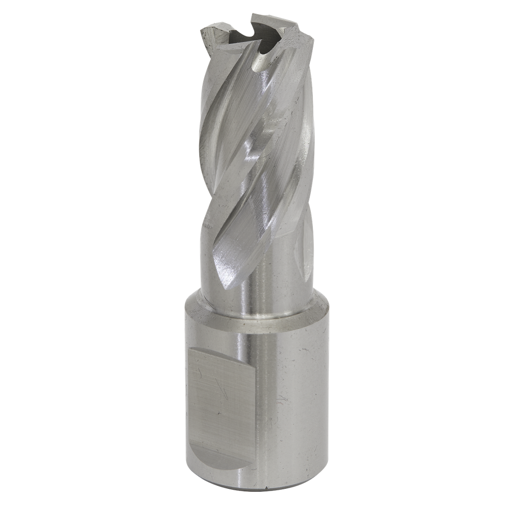 Worksafe® 15mm HSS Mag Drill Bit Cut Depth 25mm