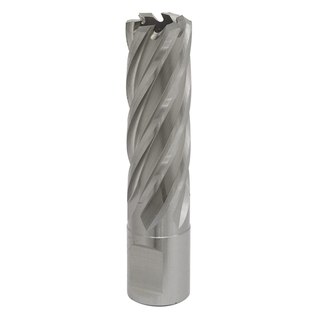Worksafe® 19mm HSS Mag Drill Bit Cut Depth 50mm