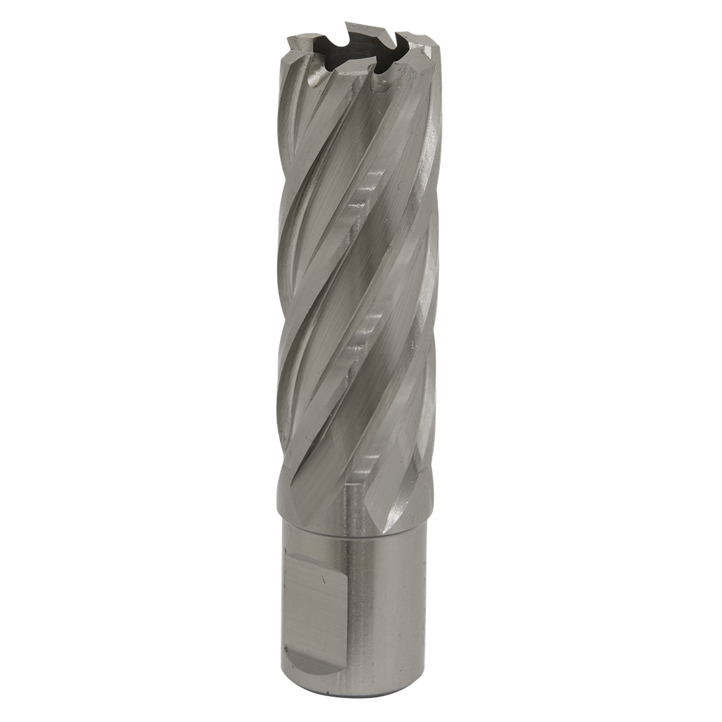 Worksafe® 21mm HSS Mag Drill Bit Cut Depth 50mm