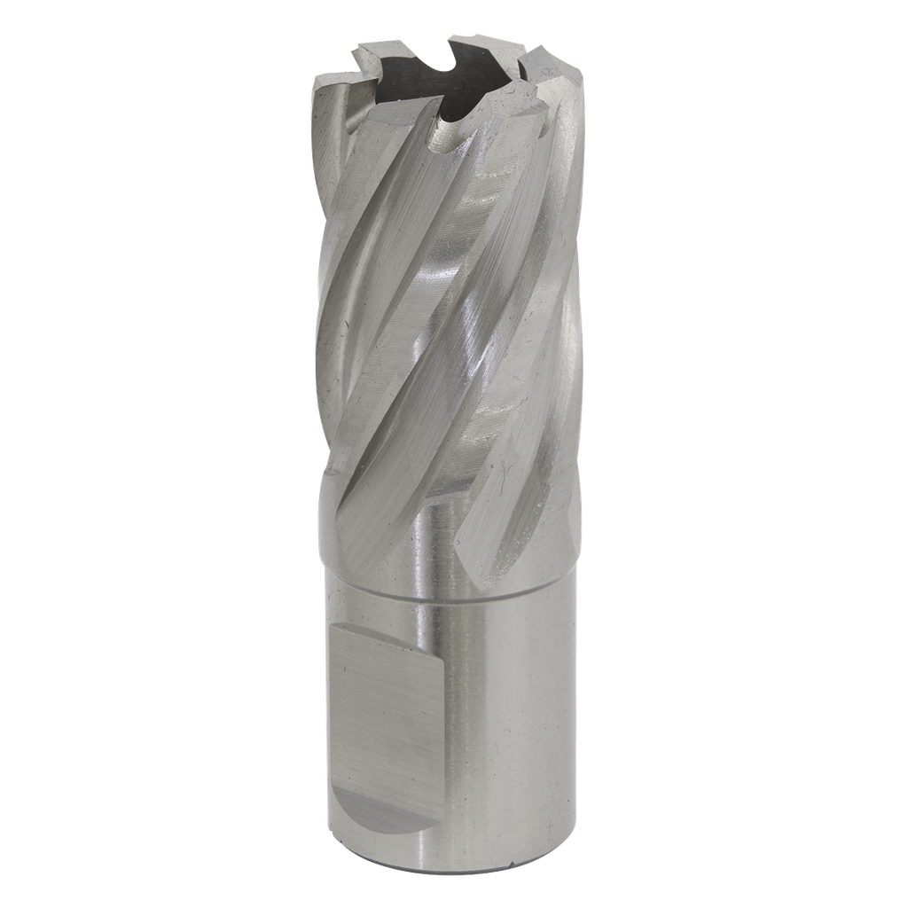 Worksafe® 21mm HSS Mag Drill Bit Cut Depth 25mm