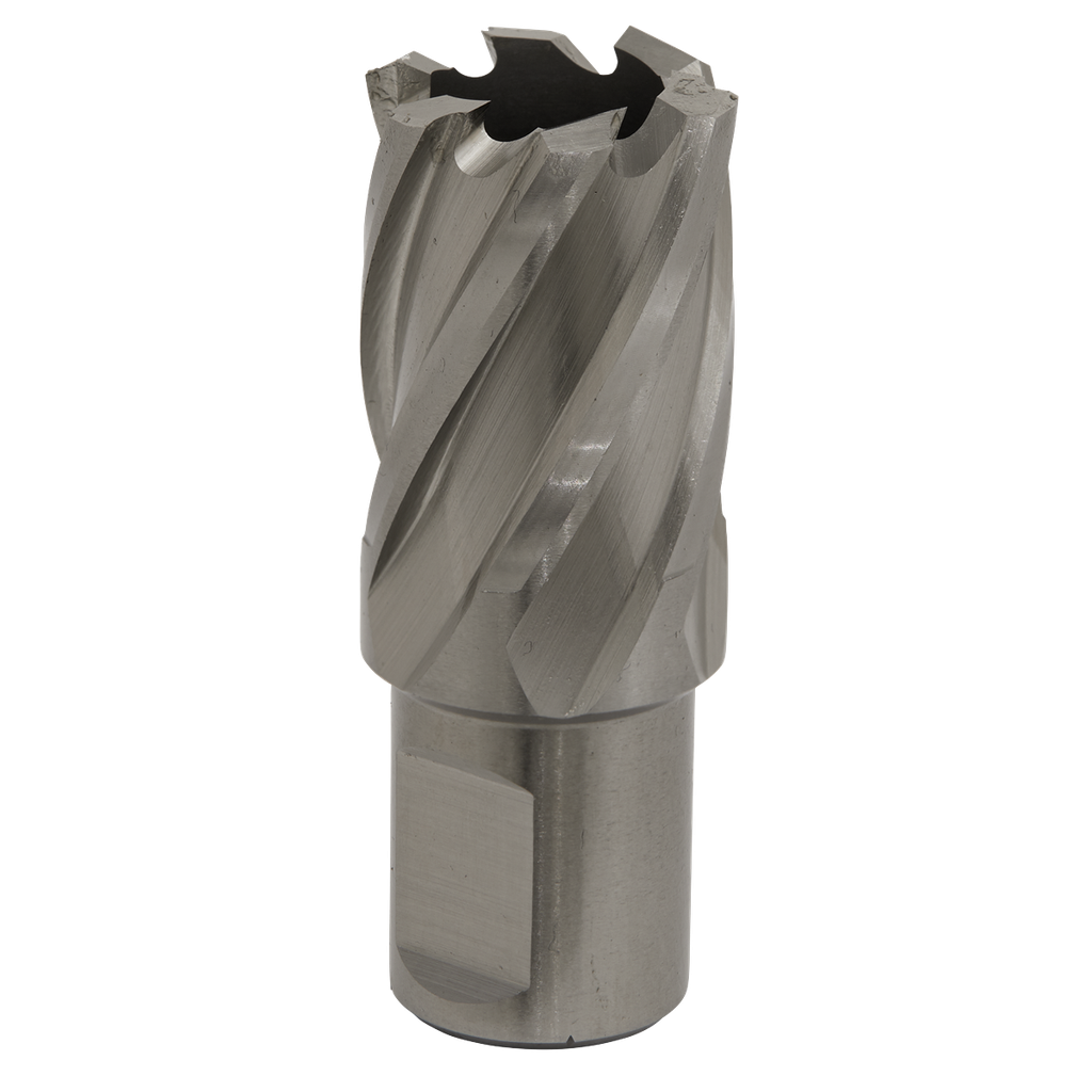 Worksafe® 22mm HSS Mag Drill Bit Cut Depth 25mm