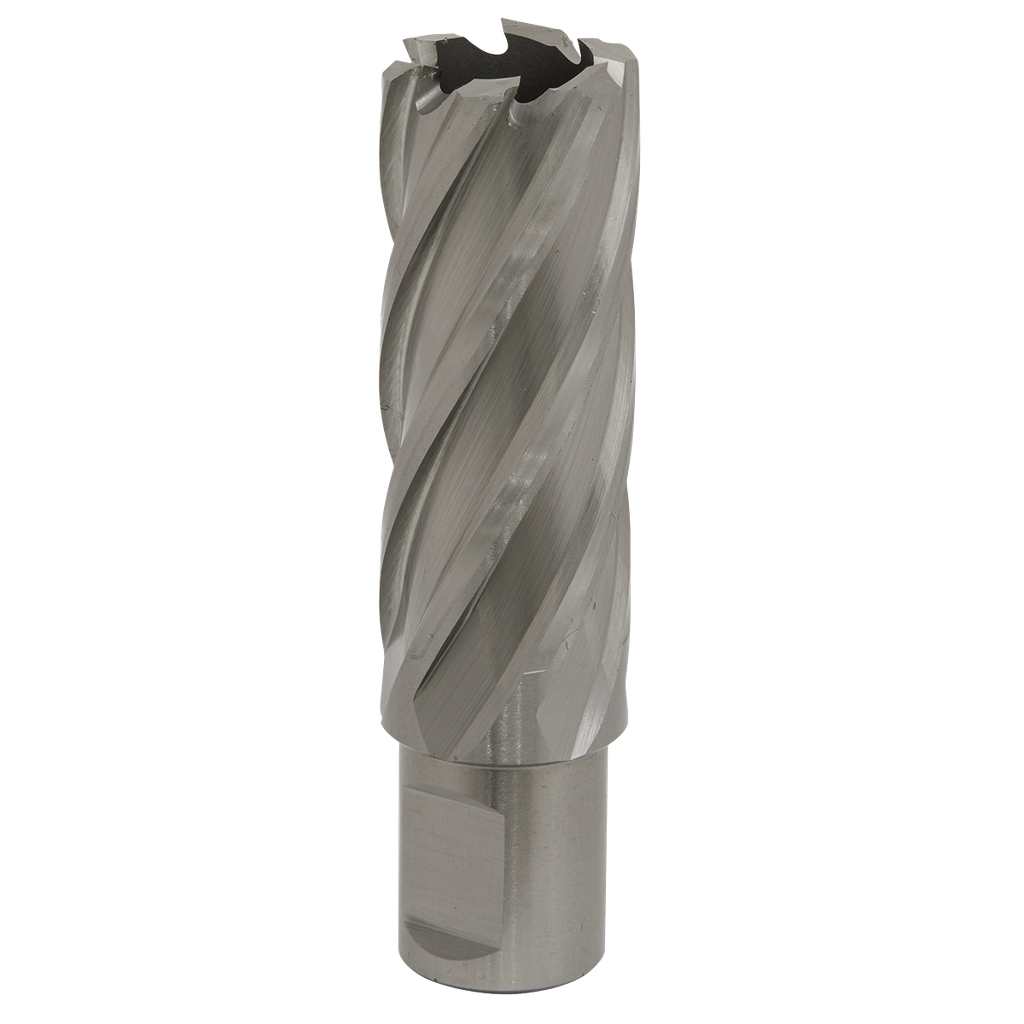 Worksafe® 23mm HSS Mag Drill Bit Cut Depth 50mm