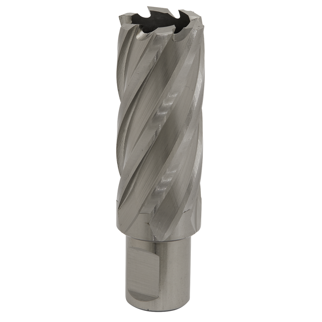 Worksafe® 26mm HSS Mag Drill Bit Cut Depth 50mm
