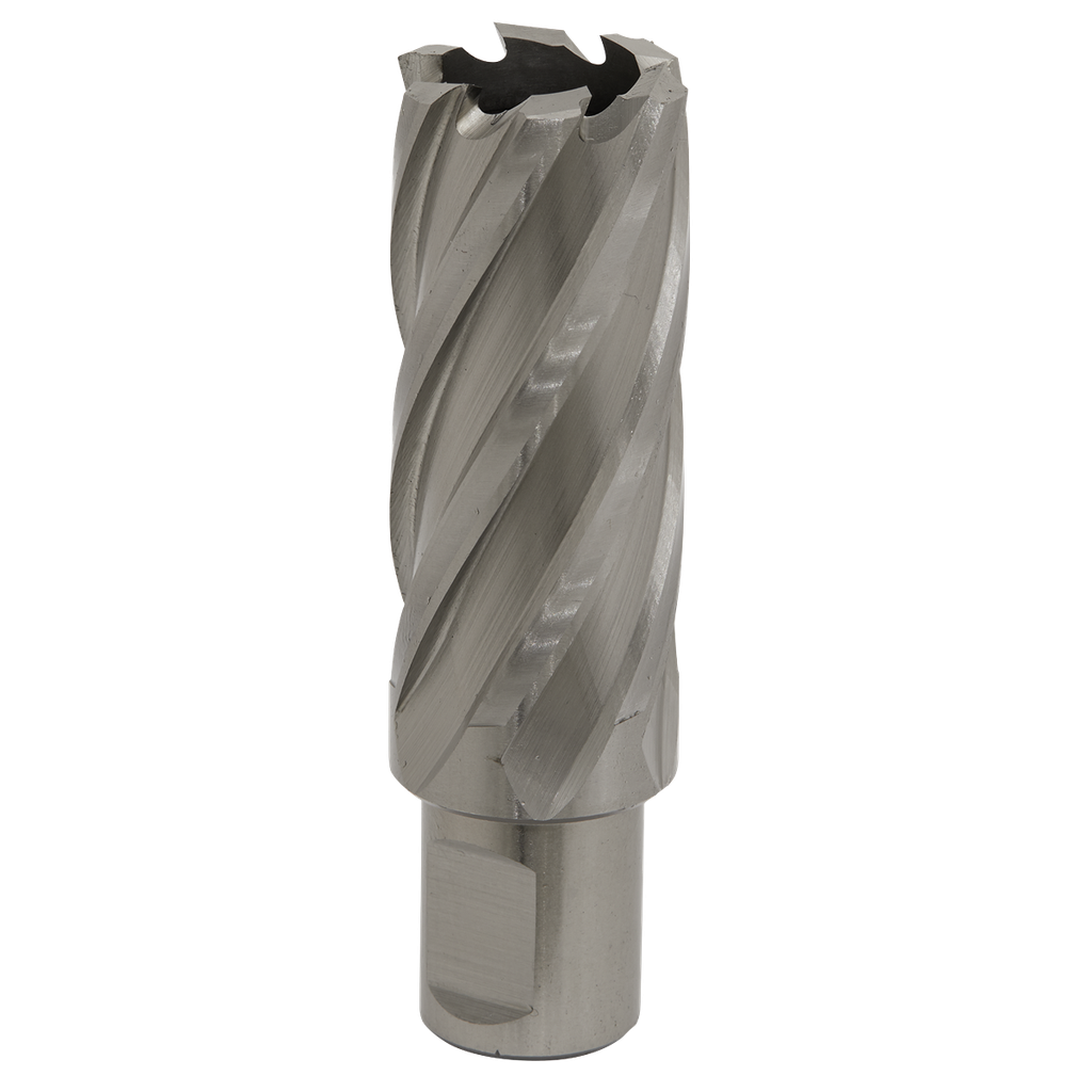 Worksafe® 27mm HSS Mag Drill Bit Cut Depth 50mm