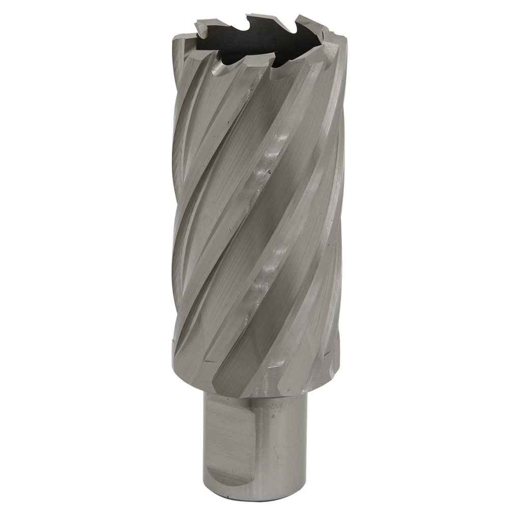 Worksafe® 31mm HSS Mag Drill Bit Cut Depth 50mm