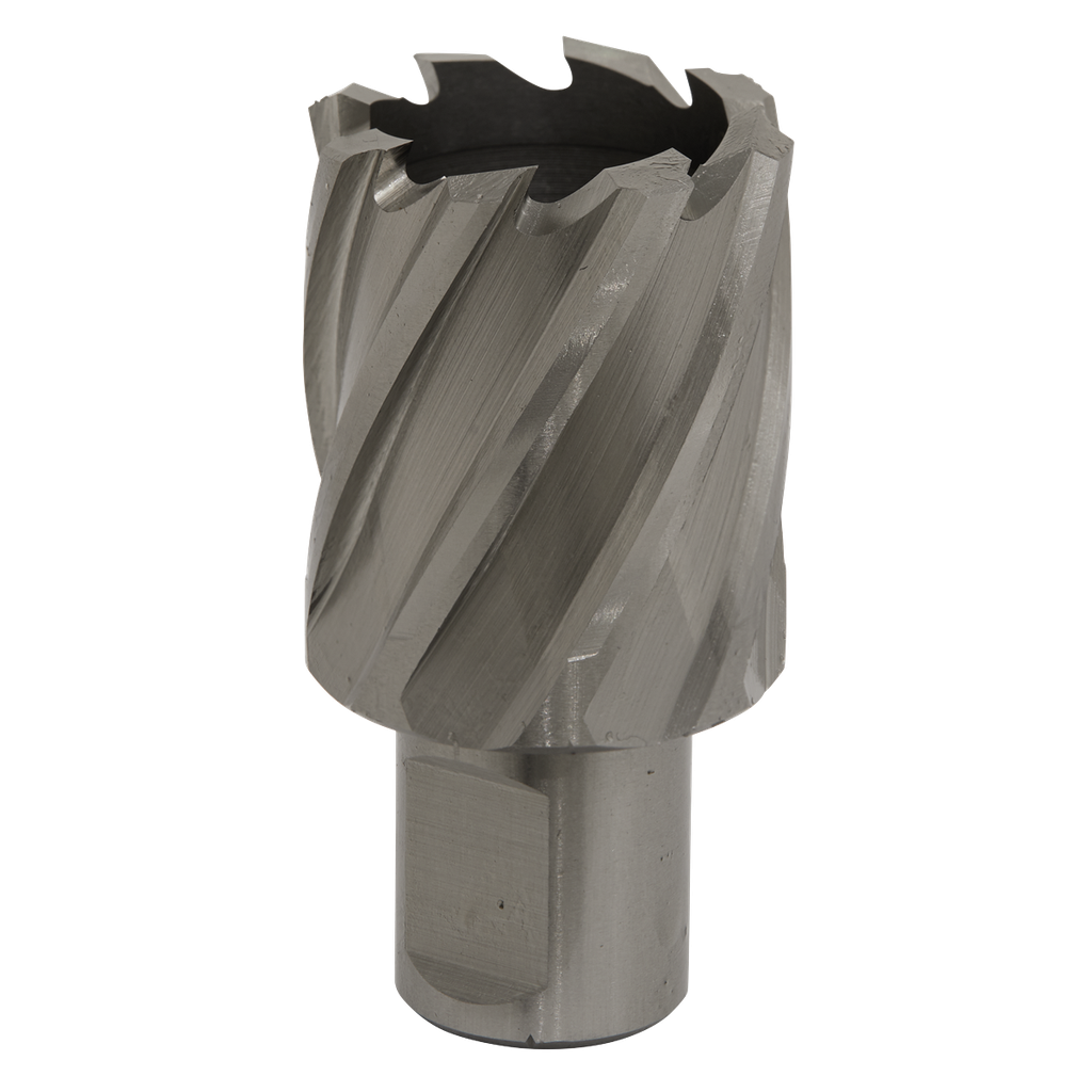 Worksafe® 32mm HSS Mag Drill Bit Cut Depth 25mm