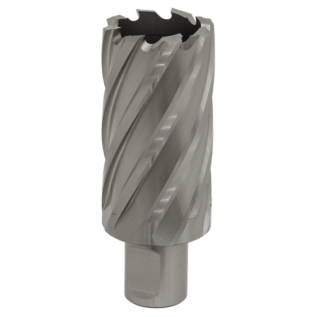 Worksafe® 33mm HSS Mag Drill Bit Cut Depth 50mm