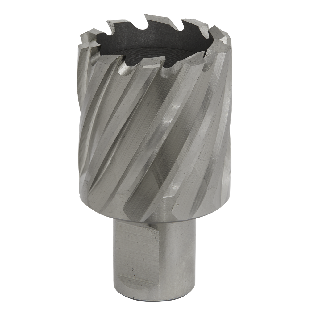 Worksafe® 35mm HSS Mag Drill Bit Cut Depth 25mm