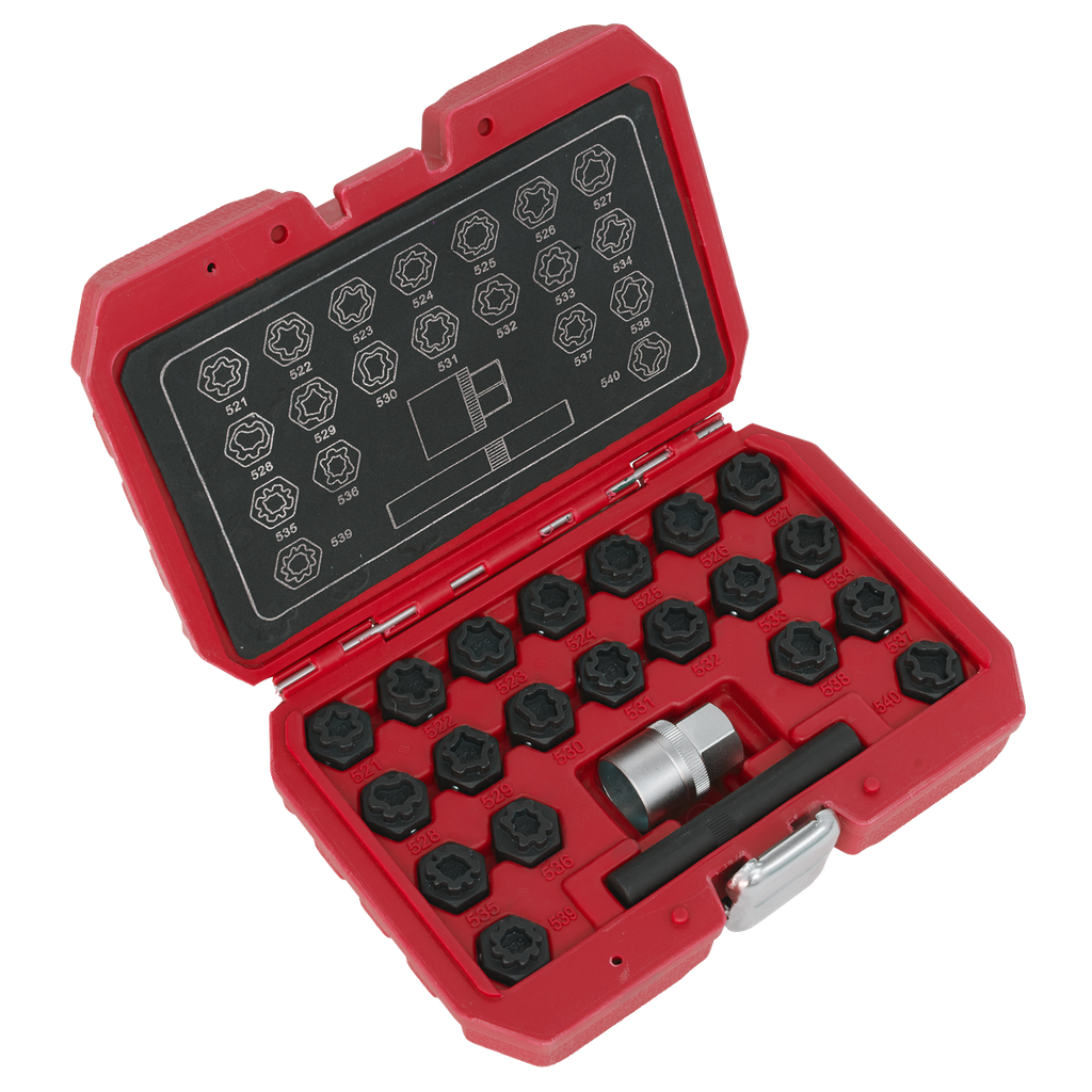 Locking Wheel Nut Key Set for VAG 22pc