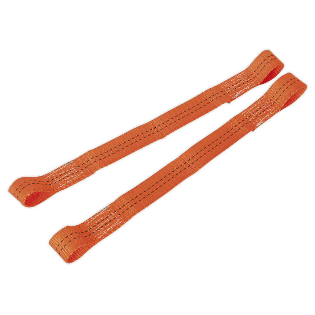 Tie Down Securing Loop - Pair
