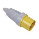 2P+E Plug 110V 32A