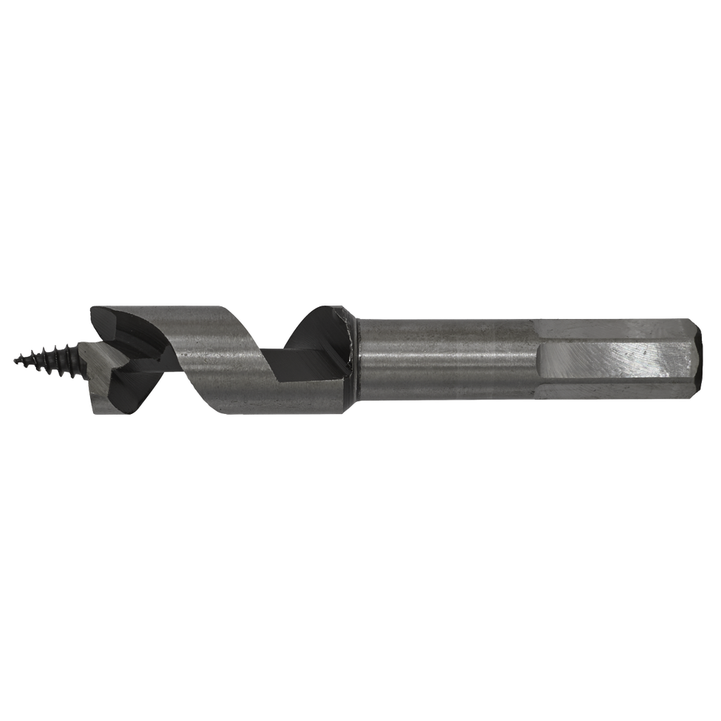 Auger Wood Drill Bit 16 x 100mm