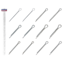 Clip Strip Deal - Split Pins