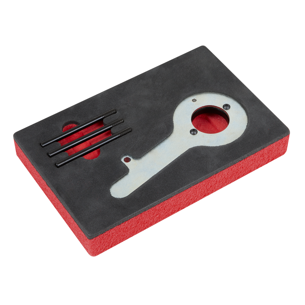 Diesel Engine Timing Tool Kit for Ford 2.0TDCi EcoBlue - Belt Drive