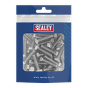 Stainless Steel Set Screw M6 x 25mm 1mm Pitch, DIN 933 - Pack of 50