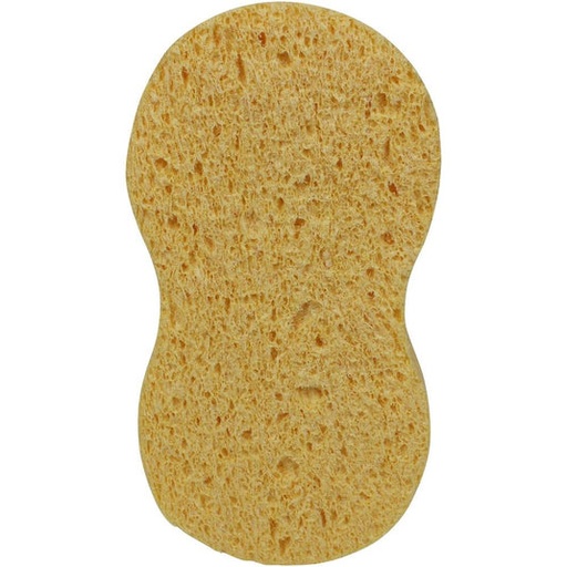 [XMOGG98] Cellulose Bone Polish Applicator Sponge 