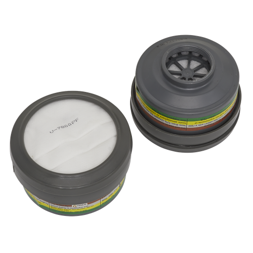 [9363] Cartridge ABEK1 P2R - Pack of 2