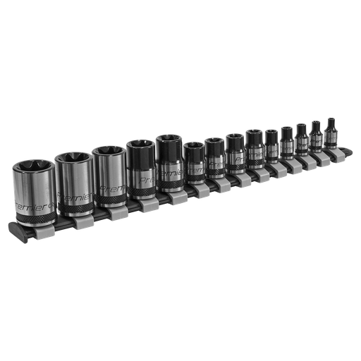 [AK618B] Premier Black TRX-Star* Socket Set 1/4", 3/8" & 1/2"Sq Drive E4-E24 14pc