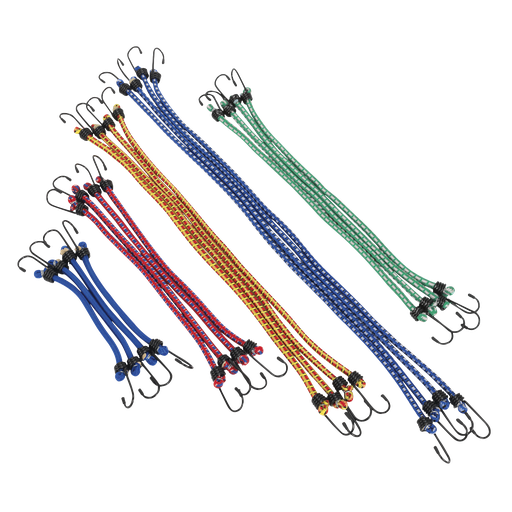 [BCS20] Elastic Cord Set 20pc