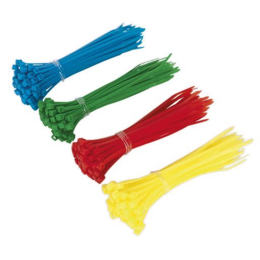 [CT200] Cable Tie Assortment 100 x 2.5mm - Pack of 200