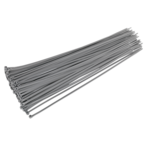 [CT38048P100S] Cable Tie 380 x 4.4mm, Silver - Pack of 100