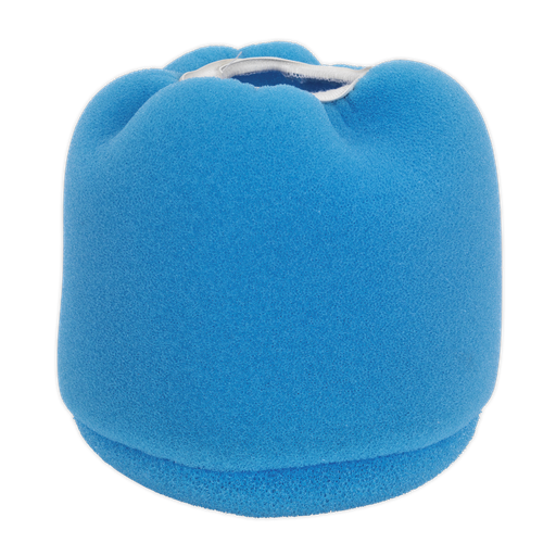 [DFS35FF] Foam Filter