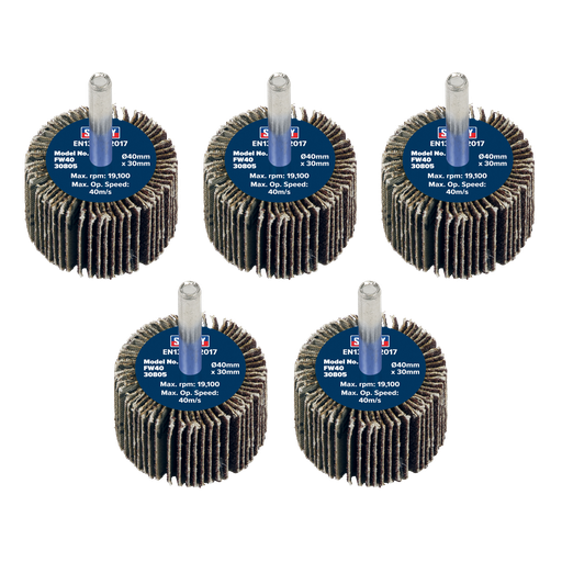 [FW4030805] 40 x 30mm Abrasive Flap Wheel on 6mm Shaft 80Grit - Pack of 5
