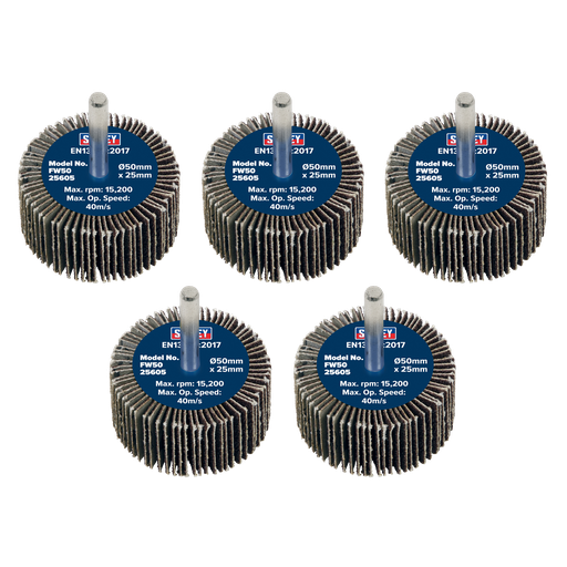 [FW5025605] 50 x 25mm Abrasive Flap Wheel on 6mm Shaft 60Grit - Pack of 5
