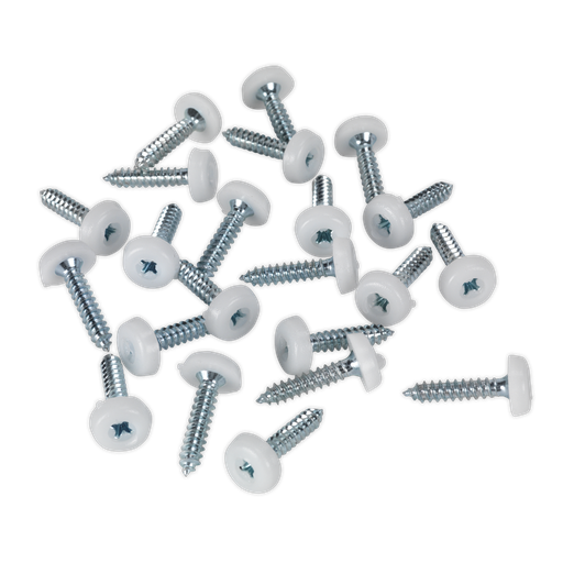 [PTNP5] Numberplate Screw with Plastic Enclosed Head 4.8 x 24mm, White - Pack of 50